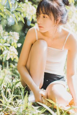 金花瓶楷梅花2杨贵妃